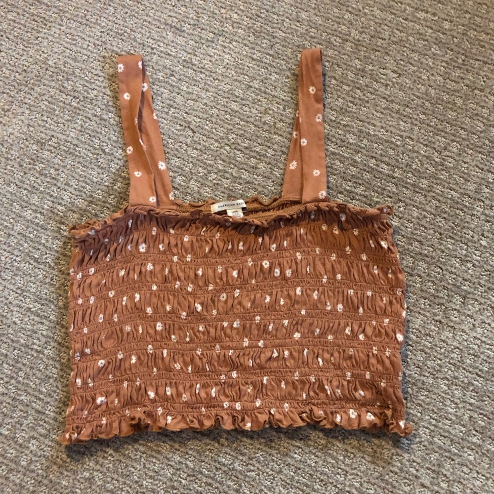 American Eagle Crop Top
